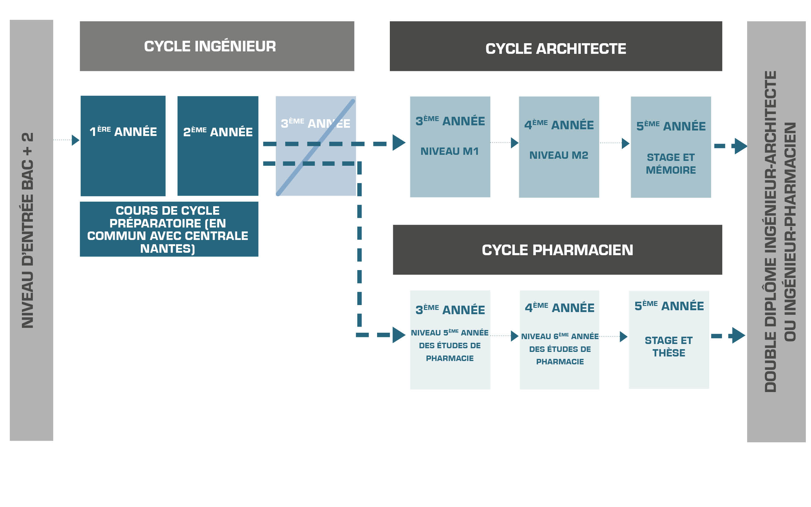 Schéma organisation du double diplôme ingénieur architecte et ingénieur pharmacien